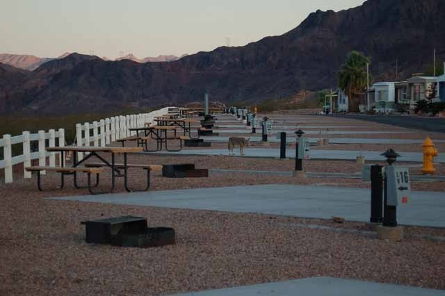 Lake Mead RV Village